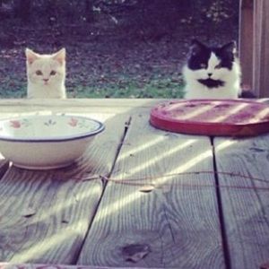 Meet your Posher, Carl